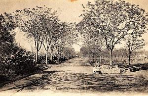 Marnia 014. Av. de Tlemcen